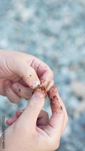 Early Morning Fishing Prep – Man Puts Worm on Hook in Natural Light, Vertical Video 
