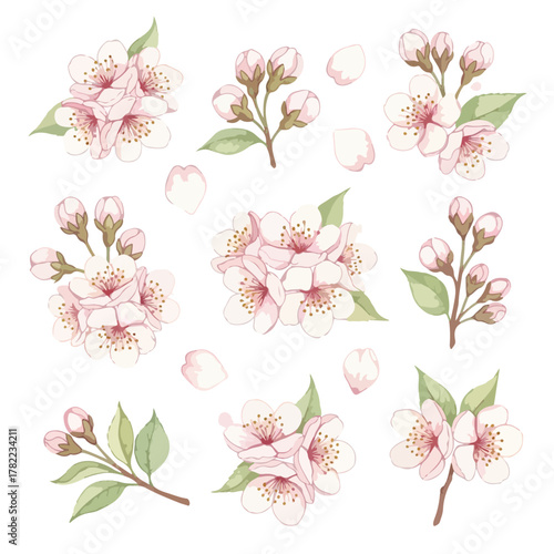 Minimalist Floral Vector Pattern with Cherry Blossom Elements in Soft Pastel Pink and Green Colors