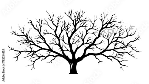 Striking bare tree silhouette branches reach outward creating a dramatic natural design perfect for seasonal themes or symbolic concepts
