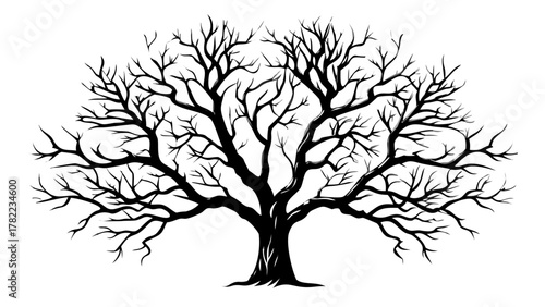 Majestic bare tree silhouette branches reaching skyward symbolizing winter, growth, and nature's resilience