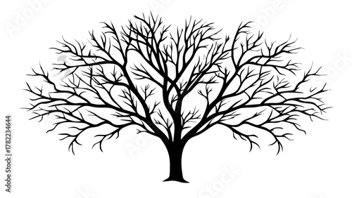 Striking silhouette of a bare winter tree with intricate branching patterns, symbolizing growth and resilience during dormant periods