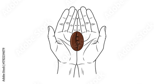 Minimalistic line icon illustration of a single, rich brown coffee bean held delicately between two open, cupped hands, symbolizing care, quality, and the essence of coffee. This clean vector graphic