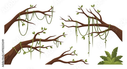 Vibrant jungle vines cascade from thick tree branches creating an adventurous and exotic natural environment for exploration and discovery