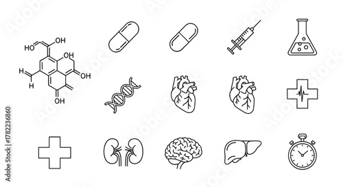 Set of medical and science icons in a clean, ordered line art style on a white background, featuring a drug molecule, pills, DNA, syringe, laboratory flask, heart, brain, kidneys, liver, stopwatch