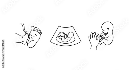 Set of outline icons depicting fetal development and bonding: a baby's foot touching a larger foot, an ultrasound image of a fetus, and a hand gently holding a fetus, symbolizing pregnancy milestones