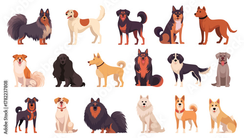 Dogs cartoon set. Dog, Collie Labrador Retriever Rottweiler Chow Chow German Shepherd Basenji Border Collie Cocker Spaniel Longhaired Shepherd Border Collie Weimaraner Doberman Beagle Shetland