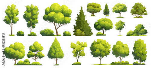 Trees cartoon set. Green tree, side view urban landscape decor thuja bush spruce garden vegetable garden horticulture design vector illustration