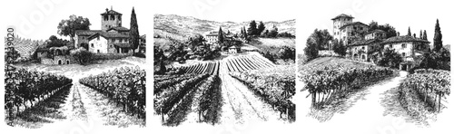 Vineyards engraving set. Vineyard monochrome drawing, wine farm Italy France Tuscan Villa countryside winemaking grapes vector illustration