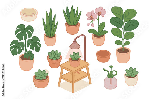 Isometric set of popular potted indoor plants and gardening accessories for home decor