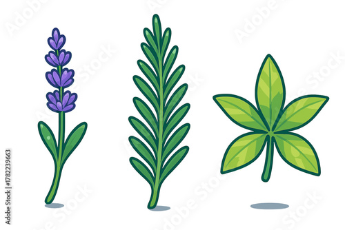 Stylized set of aromatic herbs with lavender flower rosemary sprig and botanical leaf elements