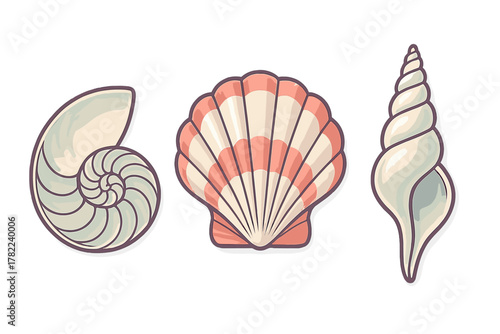 Stylized set of three marine seashells including nautilus, scallop, and turret shell