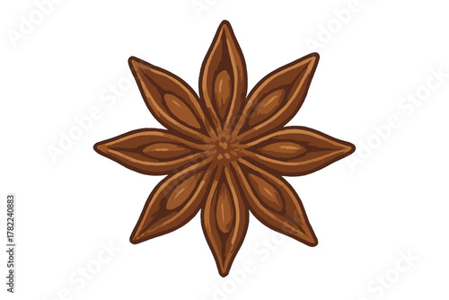 Detailed brown star anise spice pod isolated on a white background for culinary and seasonal design projects