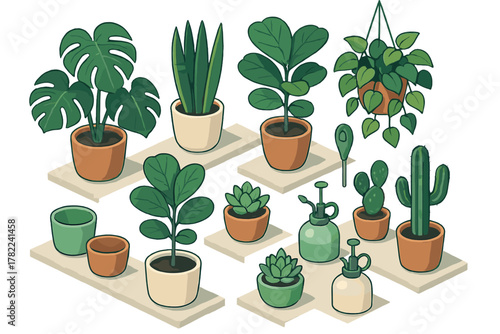 Assortment of popular indoor houseplants including Monstera, succulents, and cactus with gardening tools