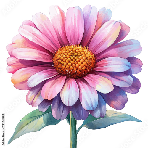 Aster Flower, watercolor painting vector, isolated on a white background.