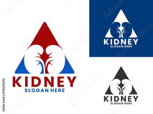 Kidney with triangle logo design vector template. Kidney logo design symbol