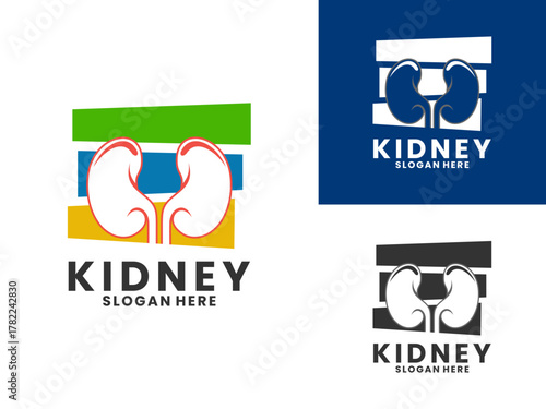Kidney illustration logo design vector template. Kidney logo icon vector