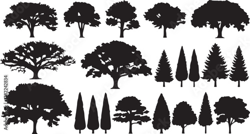Variety of tree silhouettes for landscape design and nature illustration elements