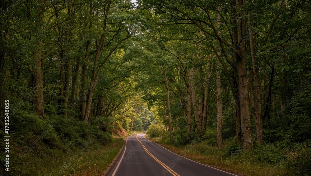 Fototapeta premium Winding rural road through vibrant beech forest hills, showcasing a natural tunnel created by towering trees, environmental conservation