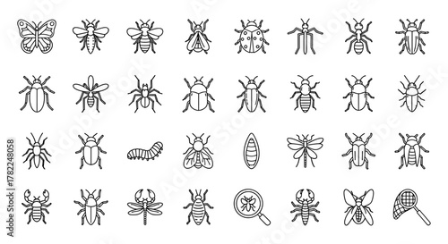 Diverse Collection of Insect Line Icons: Featuring Butterflies, Bees, Spiders, Beetles, Ants, Scorpions, Dragonflies, Caterpillars, and More, Perfect for Infographics, Articles, Books, Flyers, and