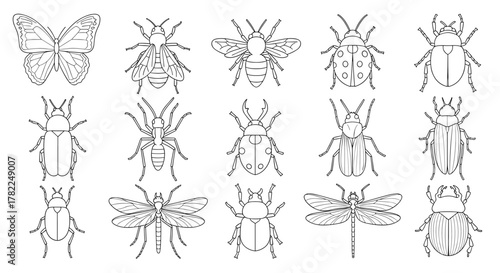 Collection of diverse insect outlines, including butterflies, bees, beetles, ants, and dragonflies, presented in a clean, editable stroke style, ideal for infographics, articles, books, flyers, and