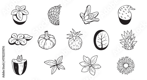 Black and white outline drawing of various herbs and spices