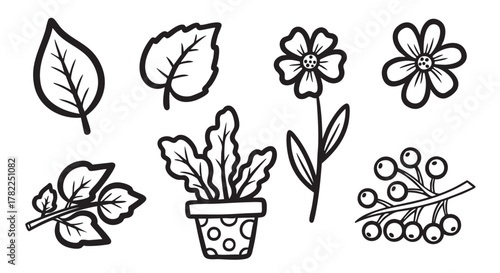 Black and white outline illustration of different types of leaves