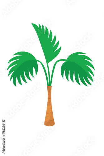 Young palm tree with wide green leaves illustration