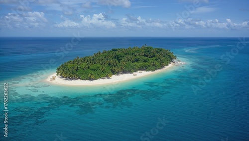 Fototapeta Naklejka Na Ścianę i Meble -  Aerial view of a tropical island with vibrant turquoise waters and dense palm forests. Stunning seaside paradise with pristine sandy shores. The ultimate beach destination on the planet.
