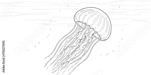 Detailed line drawing of a jellyfish gracefully swimming underwater with bubbles and water ripples.