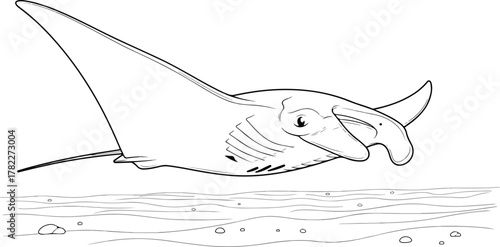 A sad, tired starfish resting on a rock surrounded by water.