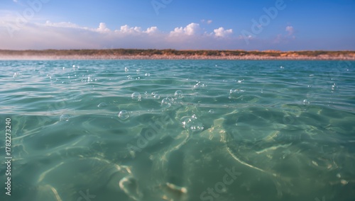 Fototapeta Naklejka Na Ścianę i Meble -  Numerous sea bubbles in the morning light, highlighting the natural beauty of coastal waters