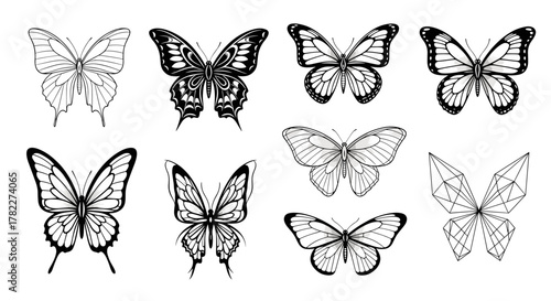 Collection of eight butterfly illustrations in black and white with varying wing designs and patterns