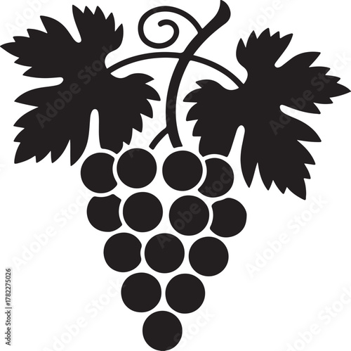 Elegant black silhouette of grapevines with leaves and fruit