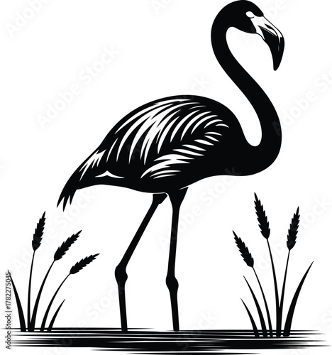 Silhouette of a flamingo standing gracefully in calm water with tall reeds