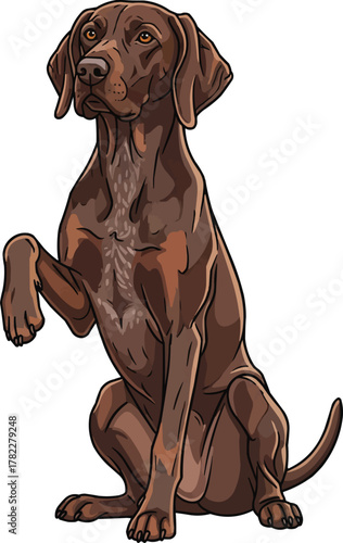 German Shorthaired Pointer dog sitting raising paw cute illustration