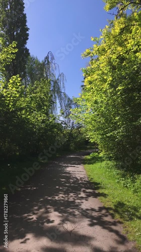 Peaceful scenic woodland walk, Calming journey through tranquil nature scene highlighting shadows and soothing