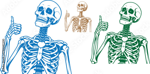 Three skeletons giving thumbs up in blue green and brown on a black background