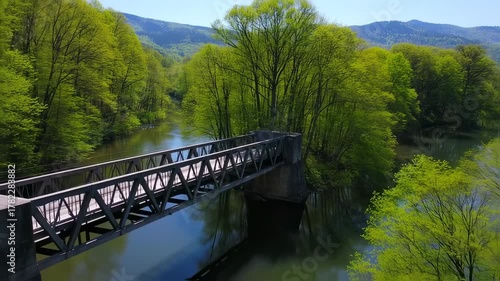 Aerial view of a metal bridge over a river surrounded by lush green trees and mountains on a sunny day.