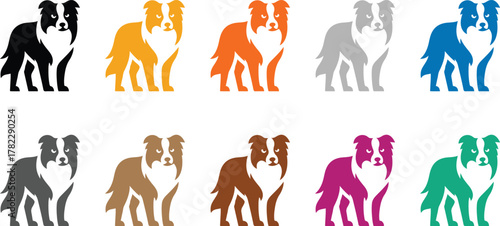 Colorful border collie dog poses on white background, Multicolor herding dog vector silhouettes