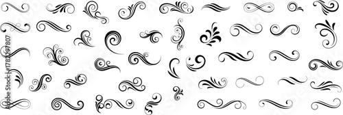 Black swirly line curl set, harmonious blend of shapes and lines for greeting cards. Collection of filigree frame decoration. vector art.