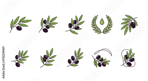 A collection of ten stylized olive branch illustrations and icons, featuring dark olives and green leaves, set against a clean white background, perfect for branding, food, and health-related designs.