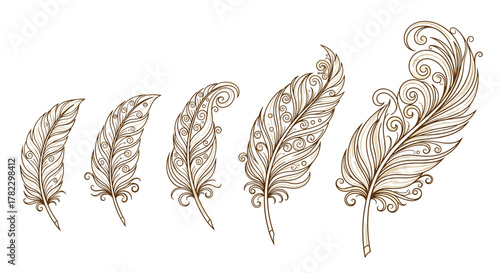 Luxury ornamental feather logo design, a set of five intricately detailed feathers in varying sizes, rendered in a cartoon illustration style with a warm, sepia-toned palette, perfect for branding