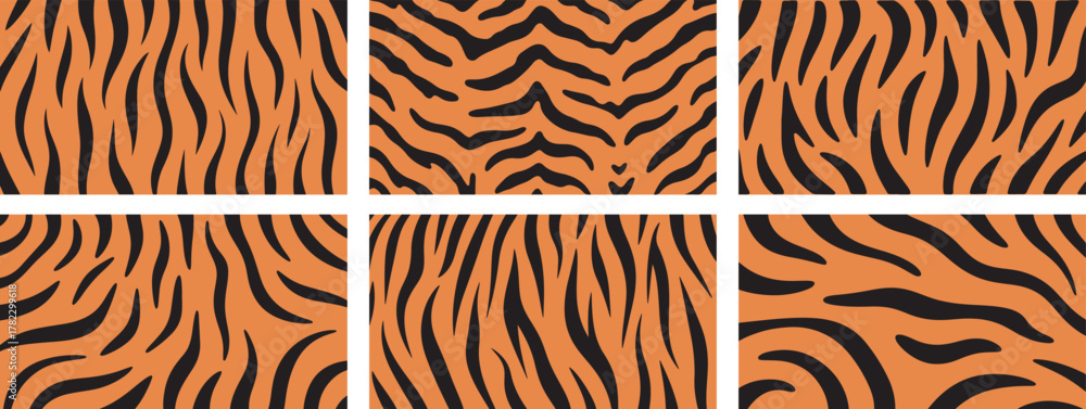 Obraz premium Six unique tiger skin print patterns, various styles Vector Art.
