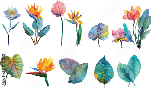 collection of leaves