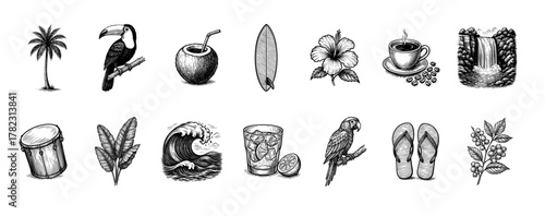 Vintage Tropical Illustrations Set: Brazilian Nature, Beach, and Culture Elements