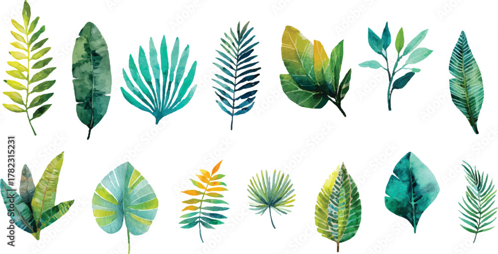 Obraz premium vector set of green leaves