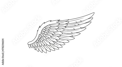 Elegant monochromatic wing drawing featuring layered feathers and refined linework
