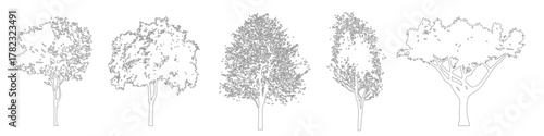 CAD Tree Blocks and Outlines for Architecture and Landscape Design