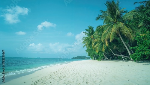 Fototapeta Naklejka Na Ścianę i Meble -  Tropical beach setting with soft sand and palm trees, ideal for summer vacation themes