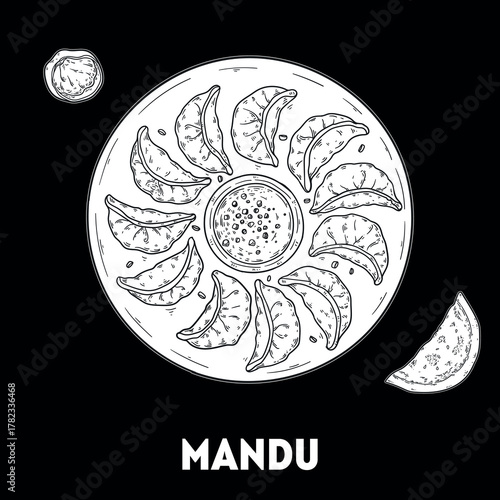 Mandu dumpling sketch. Korean food. Hand drawn vector illustration. Top view.